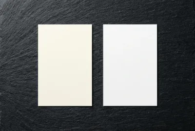 Gros plan sur deux nuanciers de peinture, le RAL 9001 blanc crème à côté du RAL 9010 blanc pur, sur un fond texturé.