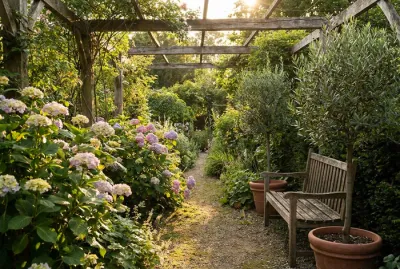 Giardino